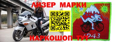стаф Краснокаменск