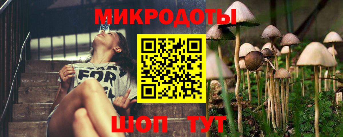 хочу   Галлюциногенные грибы GOLDEN TEACHER  Вход с VPN  Крымск 